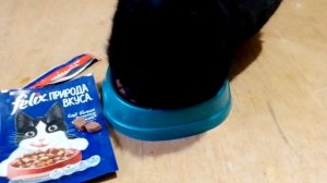 "felix" корм для кошек- говядина