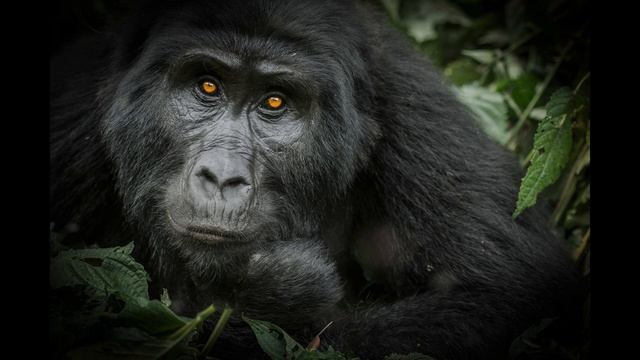 Week of Prayer, Series 2, Day 2: "Be Brave!" смотреть онлайн