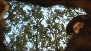 Black cat, White cat 1998 - Moving log scene