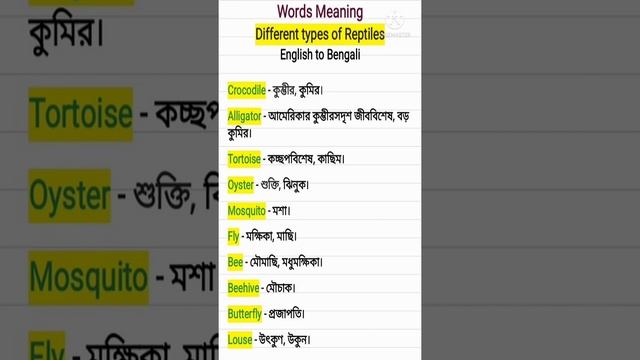 Words Meaning l Different types of Reptiles l English to Bengali