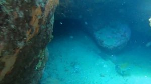Подводная охота в Турции. Средиземное море. Алания. Махмутлар.