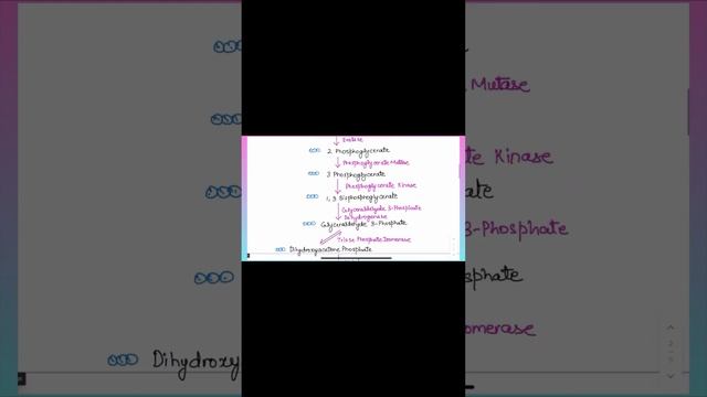 Is #gluconeogenesis reverse of #glycolysis#viralLet’s find out #biochemistry#mcatprep#carbs#ytshort
