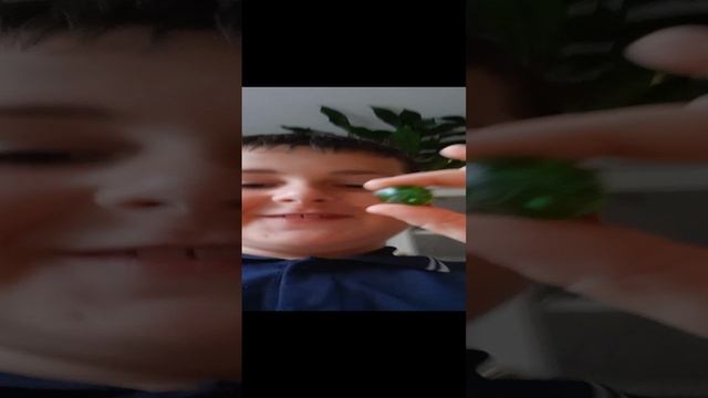 ем зелёною вишню
