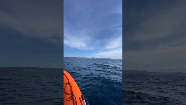 Когда работа, это не только офис #bluefintuna #fishing #sakhalin #сахалин смотреть онлайн