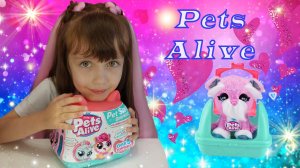 Распаковка новой игрушки Pets Alive