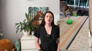 Язык тела собак. Как понимать собаку?