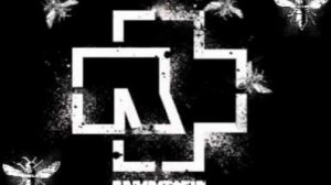 Rammstein - Nebel