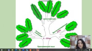Язык как средство общения и форма существования национальной культуры. Пр-ль ТерГУ Садикова Э.В.