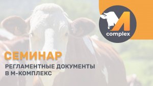 Регламентные документы | Семинар М-комплекс