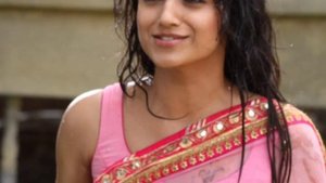 Trisha hot saree in aranmanai 2