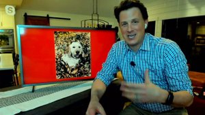 Samsung 32" The Frame Series QLED Smart Television on QVC