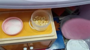 кормим собачек