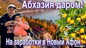 АБХАЗИЯ. Гагра-все включено за 700 рублей! На заработки в Новый Афон-сбор мандарин!