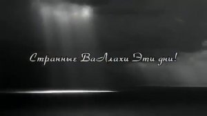 😍ОЧЕНЬ КРАСИВАЯ 🤩 АРАБСКАЯ ПЕСНЯ!! ГАРИБИ ВААЛОХ, ПЕРЕВОД