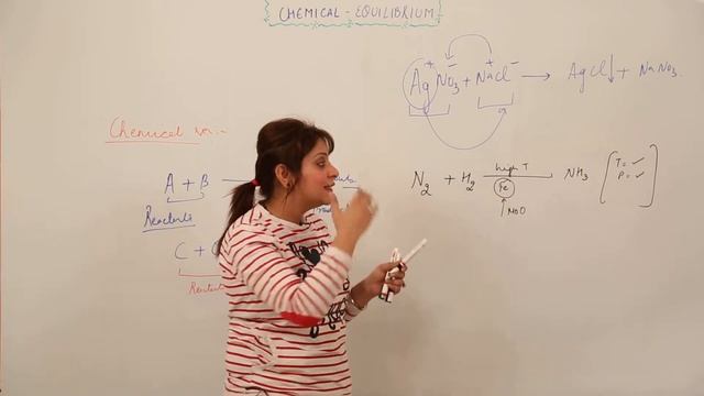 MOST IMPORTANT LECTURE l CBSE CLASS 11 l CHAPTER 7 l  CHEM l Chemical Equillibrium l intro l L1