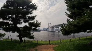 12187849_3840_2160_60fps