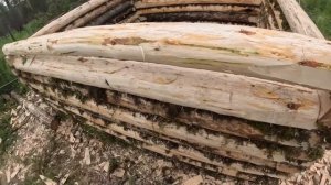 Строительства зимовья. Советы молодым охотникам. Часть 1