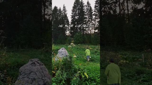 🦥🦥🦥 #capcut #capcuttutorial #идеидлявидео #pinterest #пинтерест смотреть онлайн