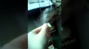 Издевательства над хомяком пушком и хозяйкой