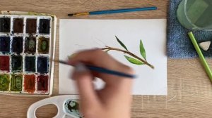 Как нарисовать веточку карандашом и акварелью начинающим | Рисунок для детей
