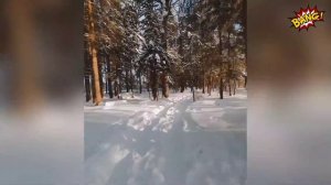 ПОДБОРКА ПРИКОЛОВ 2024✅️ ЛУЧШИЕ МОМЕНТЫ, ПОЗИТИВЧИК😉👌🔥