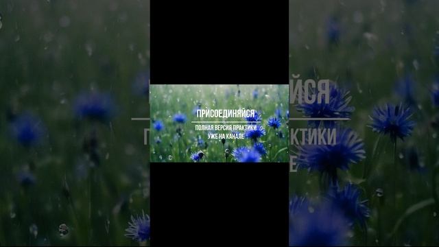 Снять стресс, напряжение. Медитация. ASMR.  Подпишись #shorts