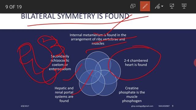 Chordata general characters & classification смотреть онлайн