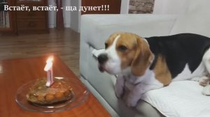 Сегодня стали мы на целый год мудрей!