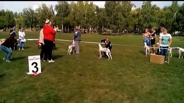 с открытый смотреть онлайн