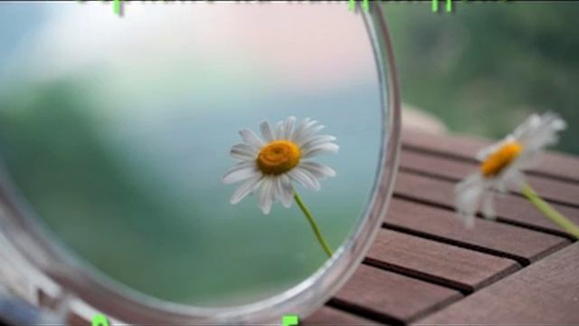 Владимир Бондаренко "Зеркало на каждый день" смотреть онлайн