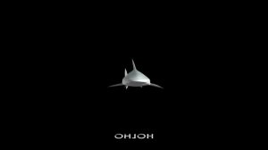 HOLOGRAM - HOLHO Collection: amazing animals video selection for Z/Naked Pyramid!!