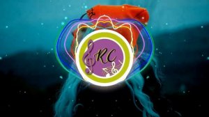 🎵INDILA - AINSI BAS LA VIDA🎵 (ELECTRONIC)