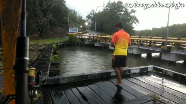 mancing ikan gulama emas Di Iringi Dengan Ikan Pesut Kalimantan Timur|Masyaallah (Umpan Udang Kupas смотреть онлайн