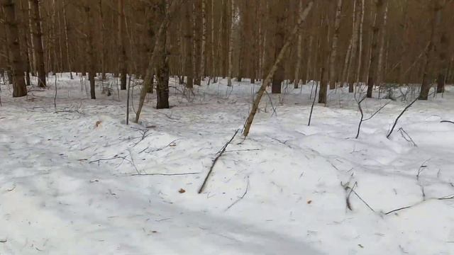 Февраль деревня смотреть онлайн