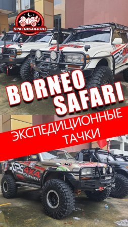 Парочка очень интересных восьмидесяток 🤩 Тойота Ленд Крузер 80 для #borneosafari 2024