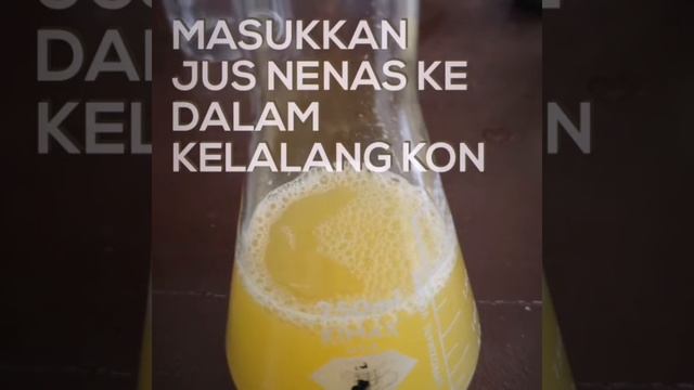 T5ChemLab:10.3.1 Penapaian смотреть онлайн