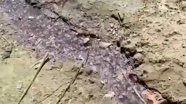 В Державинском переулке вонючая фиолетовая жидкость стекает прямо в реку Дон. 😱 смотреть онлайн