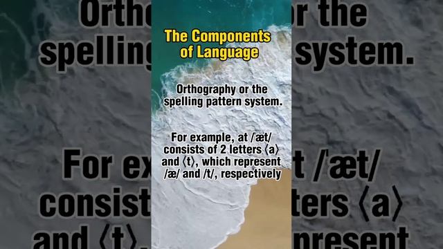 Components of Language #orthography #lexicology