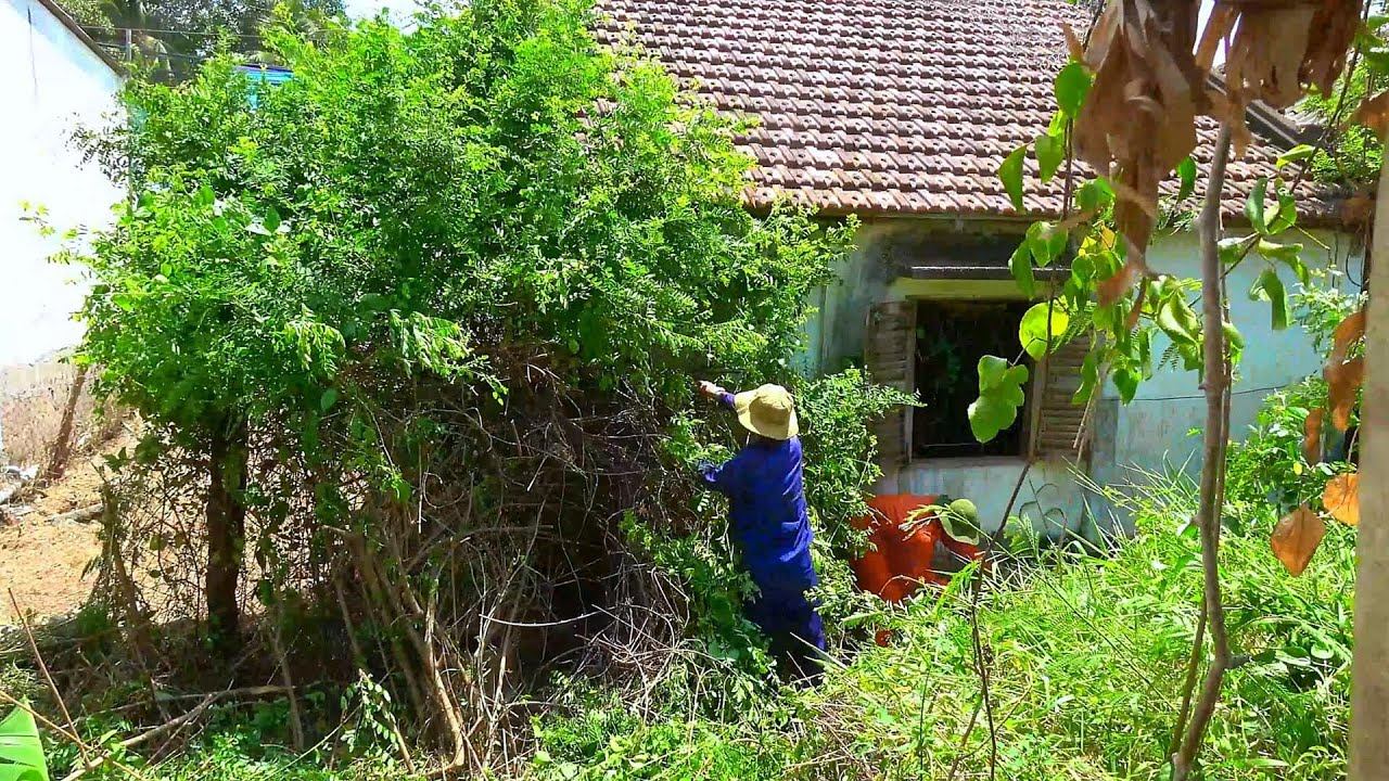 The owner was shocked when he returned to the abandoned house after 20years-the rapid transformatio