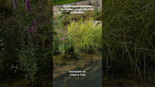 ЛУЧШИЙ фильтр для пруда! Что такое система биологических полей? смотреть онлайн