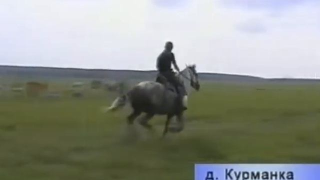 2007 08 07 Скачки смотреть онлайн