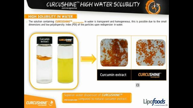 Inside Beauty webinar by Lipofoods