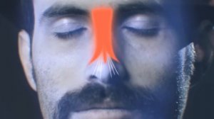 ADVIL GRIPA   Encuentralo en cualquiera de nuestras sucursales.