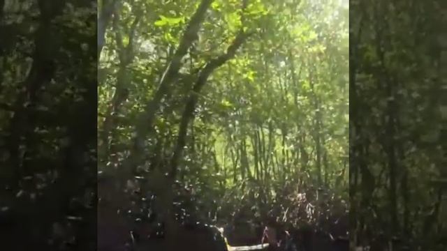 Snorkelling Day Trip to Nusa Lembongan смотреть онлайн