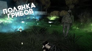 STALKER АТРИБУТ ( Часть 2 )