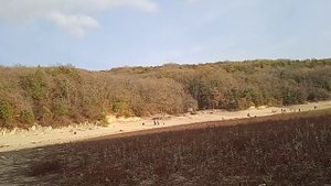 Долина болотных кипарисов, еще недавно озеро Сукко, в ноябре 2023 года