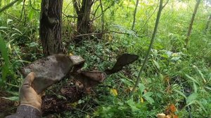 #металлокоп #эквинокс #нива копать ,копать и ещё раз копать 🤔