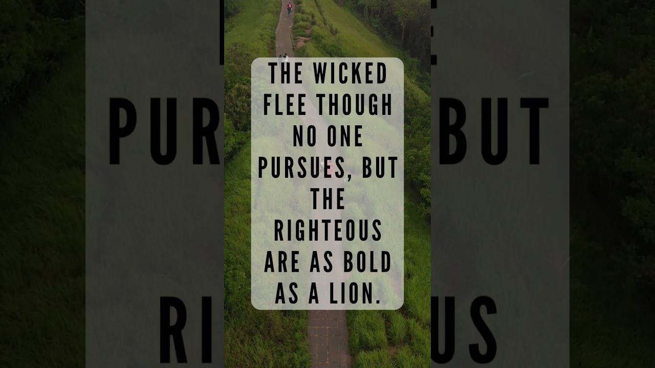 Proverbs 28:1,4 - Wicked vs righteous #proverbs #biblicaladvice #bibleverse #audiobible