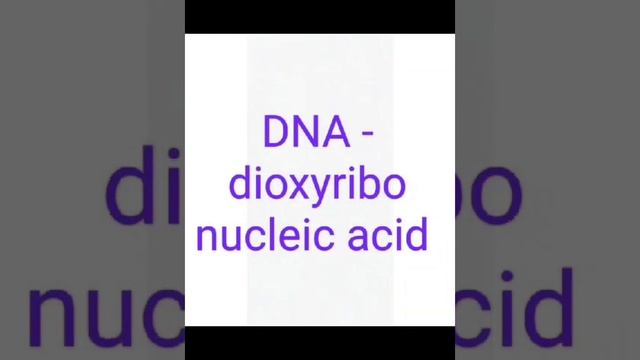 about RNA , DNA and NUCLEIC ACID ❓