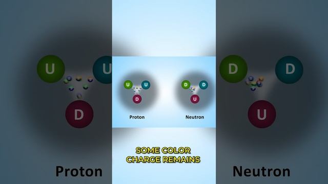 What Creates the Force keeping Protons and Neutrons Glued Together?